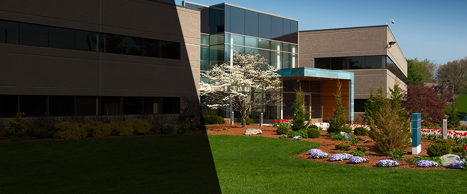 Whitesville Landscapers