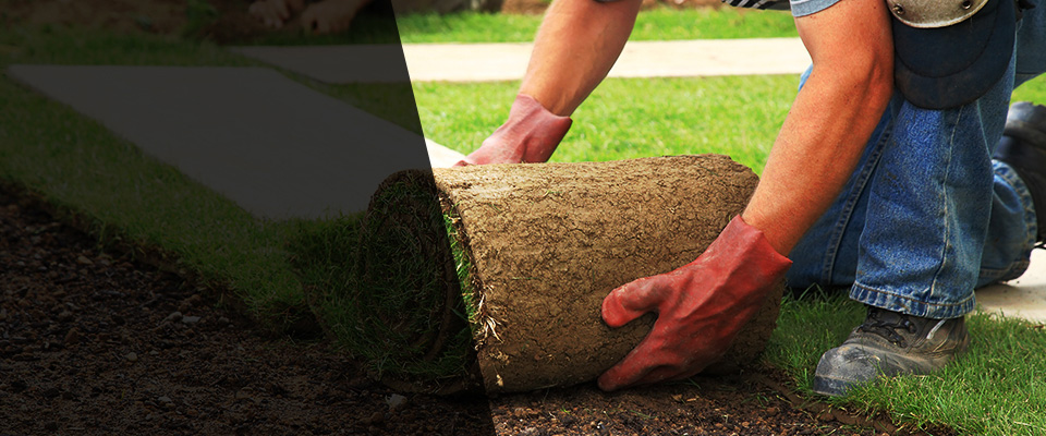 Whitesville Landscapers